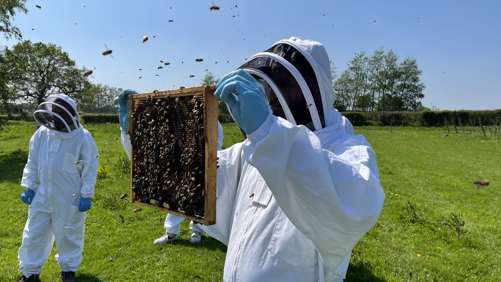 Beekeeping suits on for a hands-on hive inspection