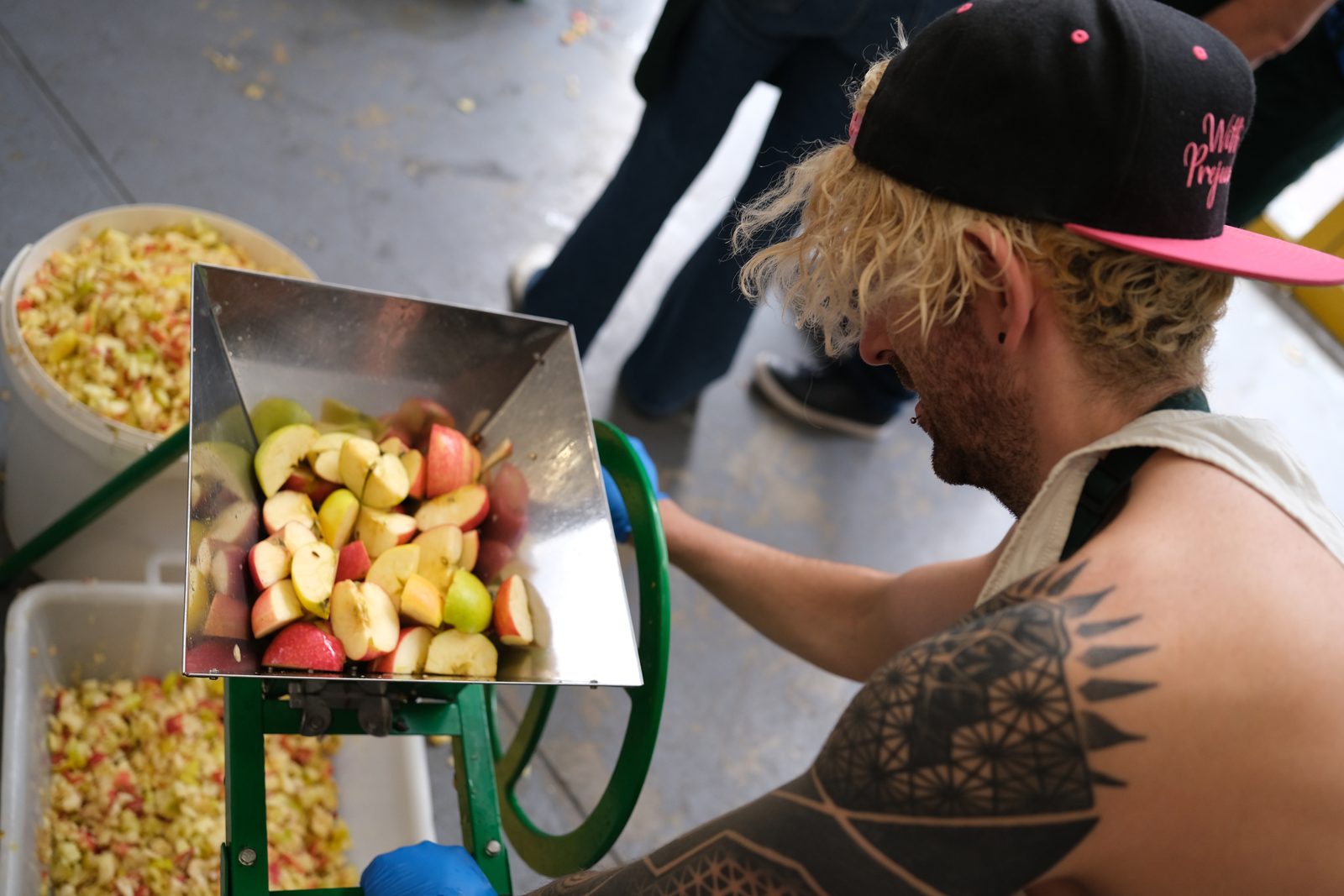 Feeding chopped apples into the cider press