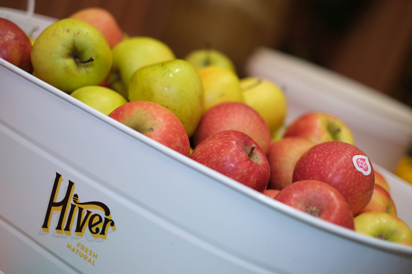 A bucket of Hiver apples ready for pressing