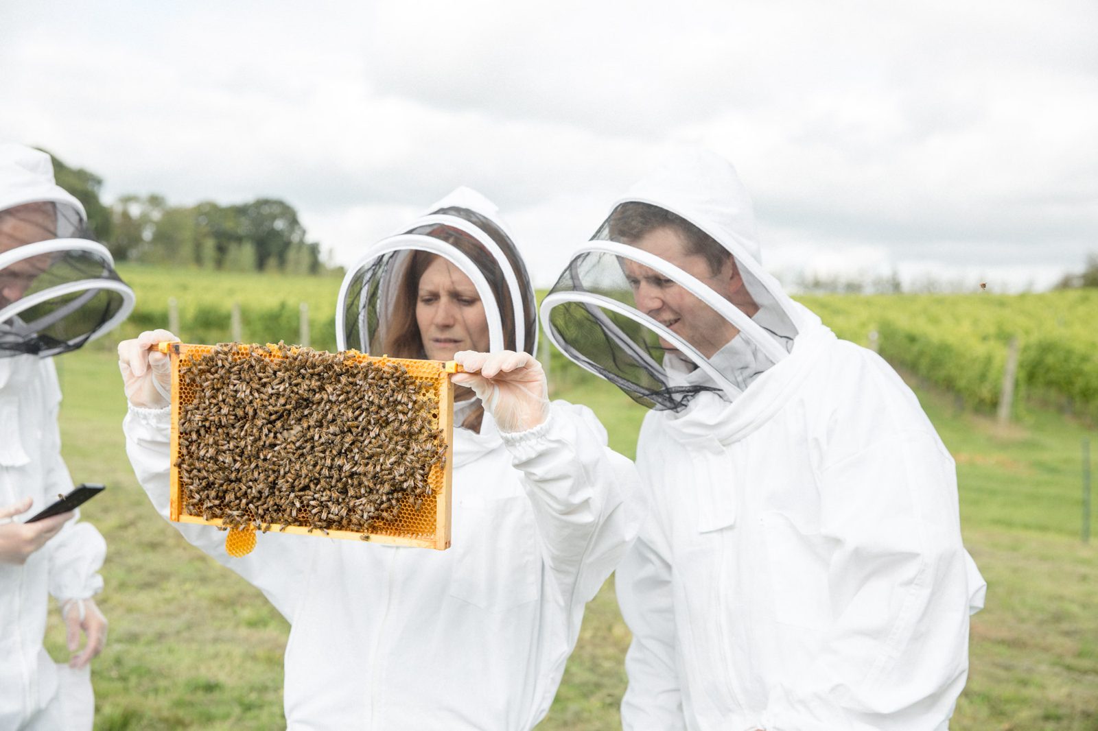 Rural Beekeeping & Beer Tasting in Sussex