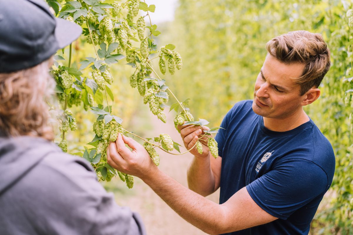 Kent Hop Farm Tour at Hukins Hops