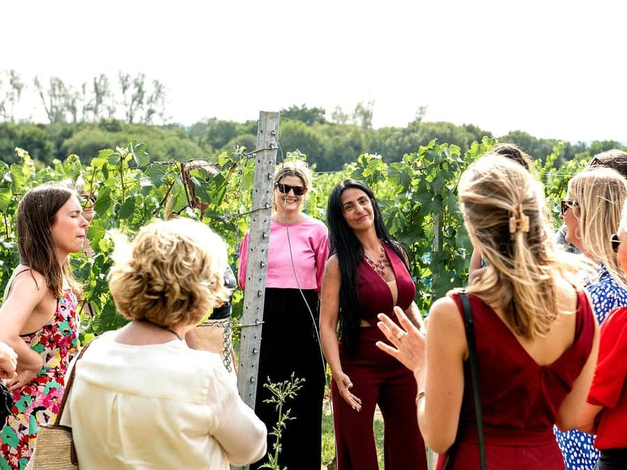 Bodiam: Oastbrook Estate Vineyard Tour and Wine Tasting