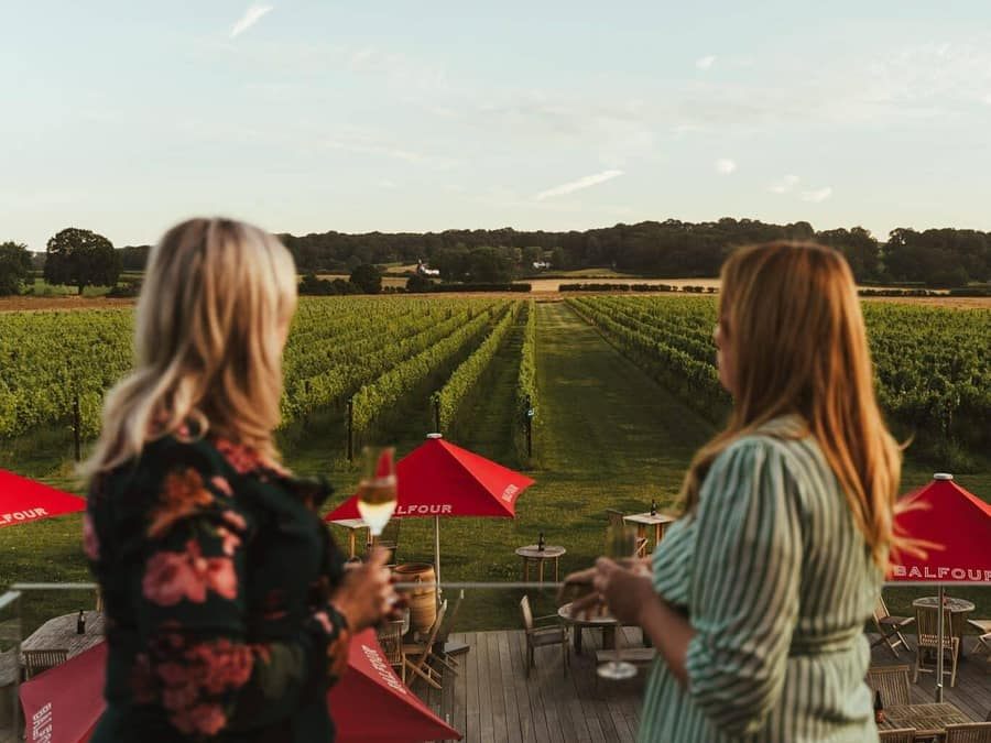 Kent: Balfour Vineyard Walk and Wine Tasting