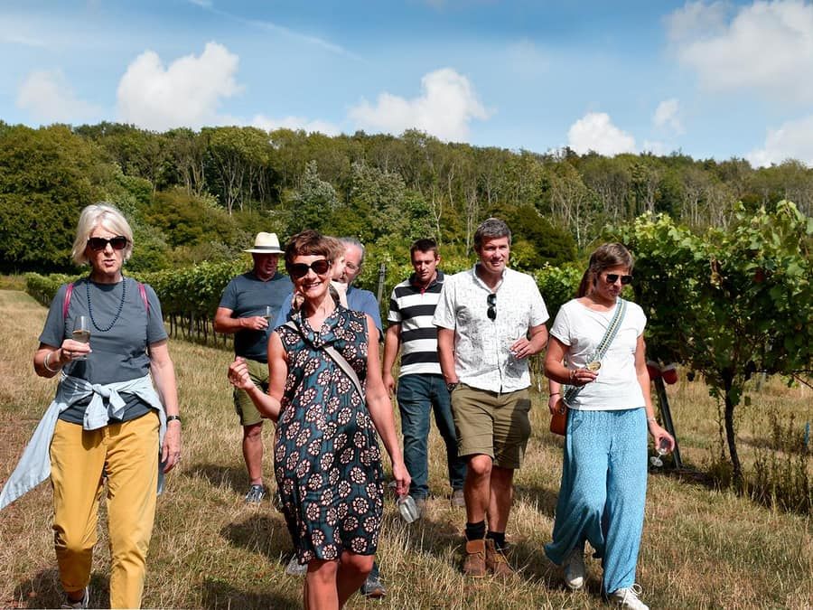Kent: Tour and Wine Tasting at Westwell Wine Estate