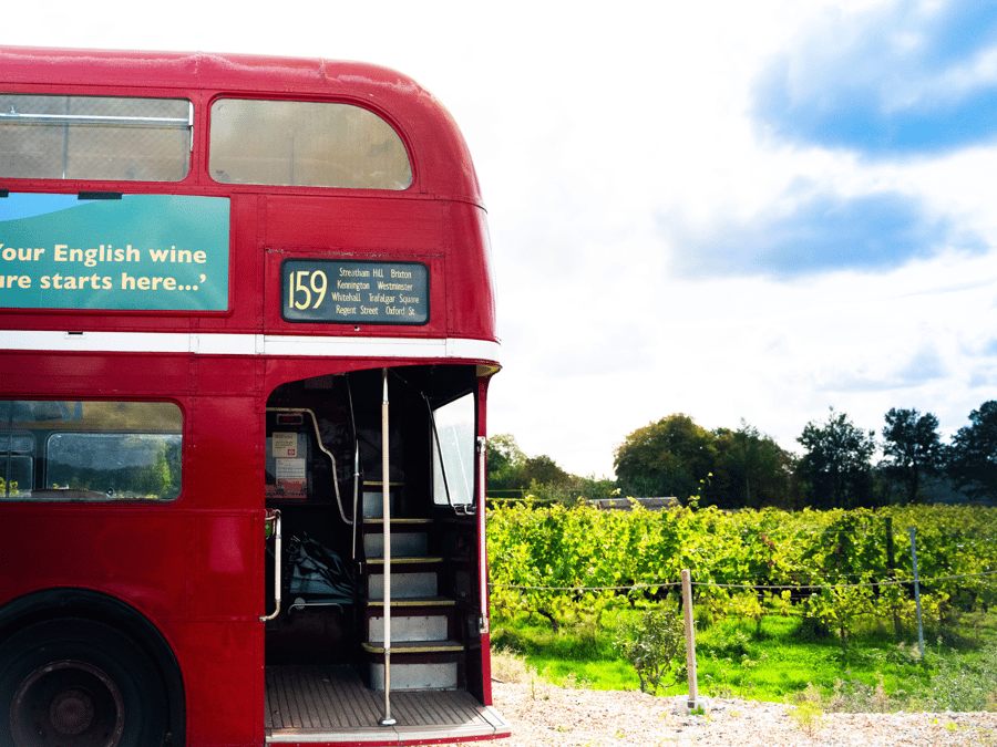 From Brighton: Sussex Wine Tour on a Vintage Bus with Lunch